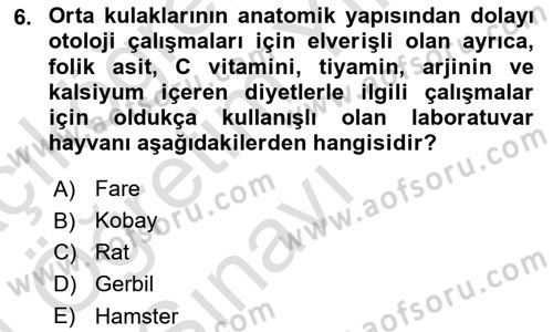 Temel Klinik Bilgisi Dersi 2023 - 2024 Yılı Yaz Okulu Sınav Soruları 6. Soru