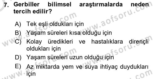 Temel Klinik Bilgisi Dersi 2023 - 2024 Yılı Yaz Okulu Sınav Soruları 7. Soru