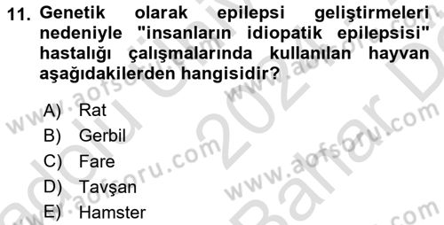 Temel Klinik Bilgisi Dersi 2024 - 2025 Yılı (Vize) Ara Sınav Soruları 11. Soru