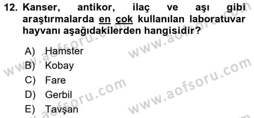 Temel Klinik Bilgisi Dersi 2024 - 2025 Yılı (Vize) Ara Sınav Soruları 12. Soru