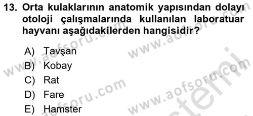 Temel Klinik Bilgisi Dersi 2024 - 2025 Yılı (Vize) Ara Sınav Soruları 13. Soru