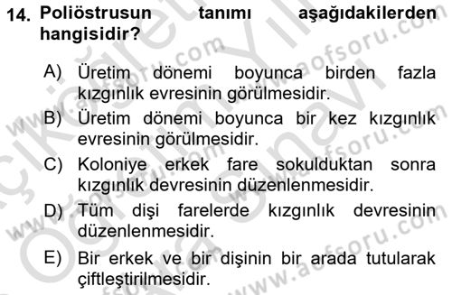 Temel Klinik Bilgisi Dersi 2024 - 2025 Yılı (Vize) Ara Sınav Soruları 14. Soru