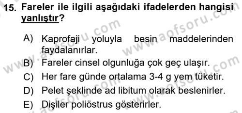 Temel Klinik Bilgisi Dersi 2024 - 2025 Yılı (Vize) Ara Sınav Soruları 15. Soru