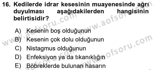 Temel Klinik Bilgisi Dersi 2024 - 2025 Yılı (Vize) Ara Sınav Soruları 16. Soru