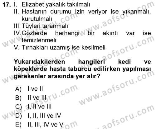 Temel Klinik Bilgisi Dersi 2024 - 2025 Yılı (Vize) Ara Sınav Soruları 17. Soru