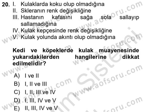 Temel Klinik Bilgisi Dersi 2024 - 2025 Yılı (Vize) Ara Sınav Soruları 20. Soru