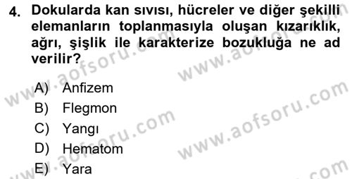 Temel Klinik Bilgisi Dersi 2024 - 2025 Yılı (Vize) Ara Sınav Soruları 4. Soru