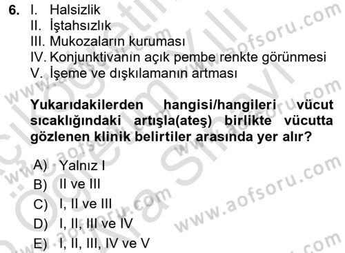 Temel Klinik Bilgisi Dersi 2024 - 2025 Yılı (Vize) Ara Sınav Soruları 6. Soru