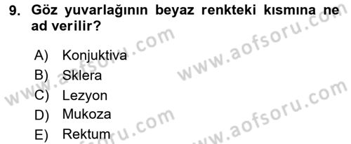Temel Klinik Bilgisi Dersi 2024 - 2025 Yılı (Vize) Ara Sınav Soruları 9. Soru