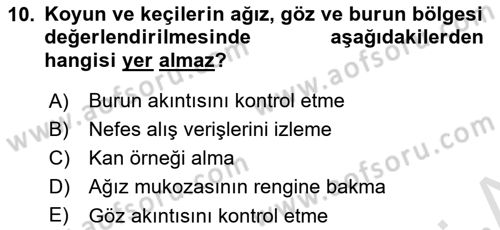 Temel Klinik Bilgisi Dersi 2024 - 2025 Yılı (Final) Dönem Sonu Sınav Soruları 10. Soru