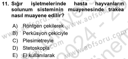 Temel Klinik Bilgisi Dersi 2024 - 2025 Yılı (Final) Dönem Sonu Sınav Soruları 11. Soru