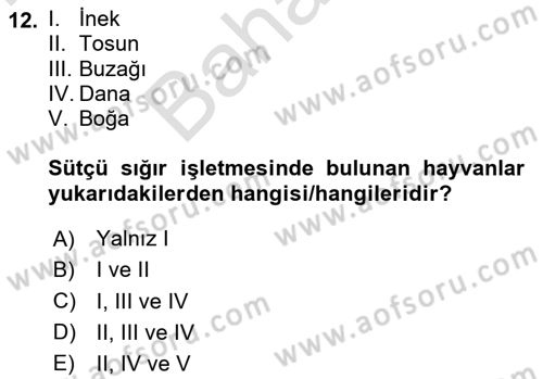 Temel Klinik Bilgisi Dersi 2024 - 2025 Yılı (Final) Dönem Sonu Sınav Soruları 12. Soru
