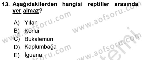 Temel Klinik Bilgisi Dersi 2024 - 2025 Yılı (Final) Dönem Sonu Sınav Soruları 13. Soru