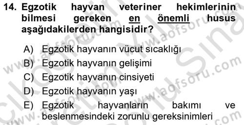 Temel Klinik Bilgisi Dersi 2024 - 2025 Yılı (Final) Dönem Sonu Sınav Soruları 14. Soru