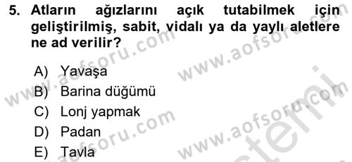 Temel Klinik Bilgisi Dersi 2024 - 2025 Yılı (Final) Dönem Sonu Sınav Soruları 5. Soru