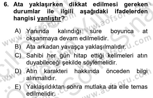 Temel Klinik Bilgisi Dersi 2024 - 2025 Yılı (Final) Dönem Sonu Sınav Soruları 6. Soru