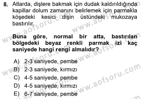 Temel Klinik Bilgisi Dersi 2024 - 2025 Yılı (Final) Dönem Sonu Sınav Soruları 8. Soru