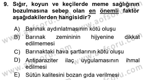 Temel Klinik Bilgisi Dersi 2024 - 2025 Yılı (Final) Dönem Sonu Sınav Soruları 9. Soru