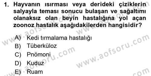 Temel Klinik Bilgisi Dersi 2024 - 2025 Yılı Yaz Okulu Sınav Soruları 1. Soru