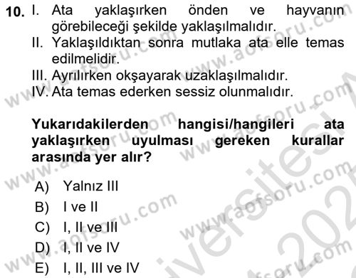 Temel Klinik Bilgisi Dersi 2024 - 2025 Yılı Yaz Okulu Sınav Soruları 10. Soru