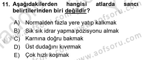 Temel Klinik Bilgisi Dersi 2024 - 2025 Yılı Yaz Okulu Sınav Soruları 11. Soru