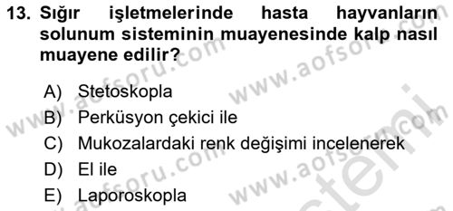 Temel Klinik Bilgisi Dersi 2024 - 2025 Yılı Yaz Okulu Sınav Soruları 13. Soru