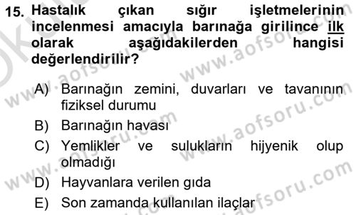 Temel Klinik Bilgisi Dersi 2024 - 2025 Yılı Yaz Okulu Sınav Soruları 15. Soru