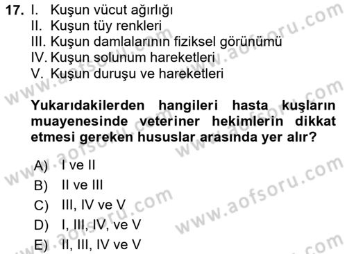 Temel Klinik Bilgisi Dersi 2024 - 2025 Yılı Yaz Okulu Sınav Soruları 17. Soru