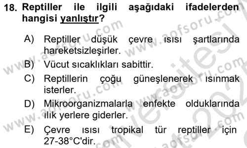 Temel Klinik Bilgisi Dersi 2024 - 2025 Yılı Yaz Okulu Sınav Soruları 18. Soru