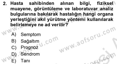 Temel Klinik Bilgisi Dersi 2024 - 2025 Yılı Yaz Okulu Sınav Soruları 2. Soru
