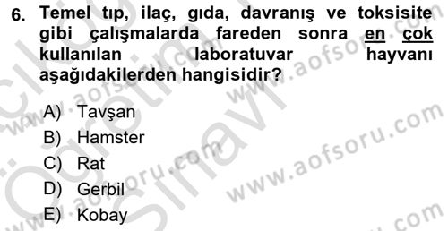 Temel Klinik Bilgisi Dersi 2024 - 2025 Yılı Yaz Okulu Sınav Soruları 6. Soru