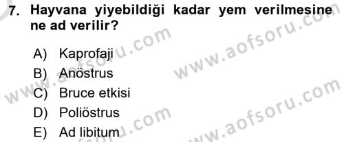 Temel Klinik Bilgisi Dersi 2024 - 2025 Yılı Yaz Okulu Sınav Soruları 7. Soru