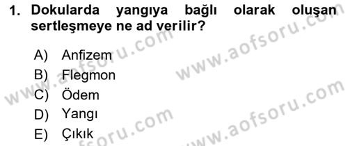 Temel Klinik Bilgisi Dersi 2025 - 2026 Yılı (Vize) Ara Sınav Soruları 1. Soru