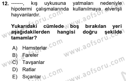 Temel Klinik Bilgisi Dersi 2025 - 2026 Yılı (Vize) Ara Sınav Soruları 12. Soru