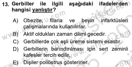 Temel Klinik Bilgisi Dersi 2025 - 2026 Yılı (Vize) Ara Sınav Soruları 13. Soru