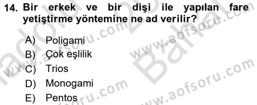Temel Klinik Bilgisi Dersi 2025 - 2026 Yılı (Vize) Ara Sınav Soruları 14. Soru