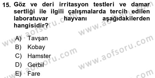 Temel Klinik Bilgisi Dersi 2025 - 2026 Yılı (Vize) Ara Sınav Soruları 15. Soru