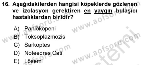 Temel Klinik Bilgisi Dersi 2025 - 2026 Yılı (Vize) Ara Sınav Soruları 16. Soru