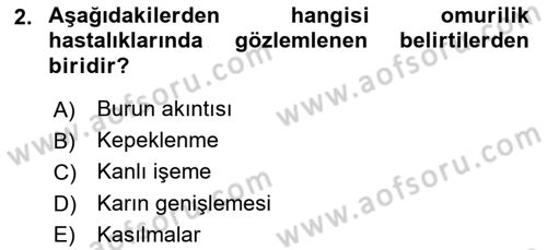 Temel Klinik Bilgisi Dersi 2025 - 2026 Yılı (Vize) Ara Sınav Soruları 2. Soru