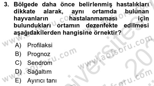 Temel Klinik Bilgisi Dersi 2025 - 2026 Yılı (Vize) Ara Sınav Soruları 3. Soru
