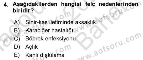 Temel Klinik Bilgisi Dersi 2025 - 2026 Yılı (Vize) Ara Sınav Soruları 4. Soru