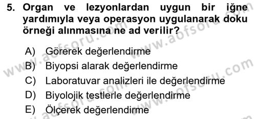 Temel Klinik Bilgisi Dersi 2025 - 2026 Yılı (Vize) Ara Sınav Soruları 5. Soru