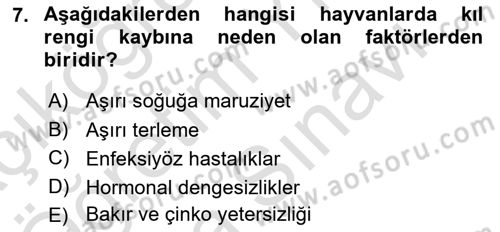 Temel Klinik Bilgisi Dersi 2025 - 2026 Yılı (Vize) Ara Sınav Soruları 7. Soru