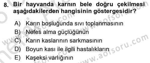 Temel Klinik Bilgisi Dersi 2025 - 2026 Yılı (Vize) Ara Sınav Soruları 8. Soru