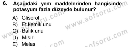 Temel Yem Bilgisi ve Hayvan Besleme Dersi 2012 - 2013 Yılı (Vize) Ara Sınavı 6. Soru