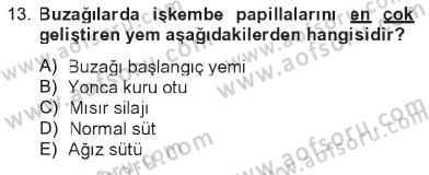 Temel Yem Bilgisi ve Hayvan Besleme Dersi 2012 - 2013 Yılı Tek Ders Sınavı 13. Soru