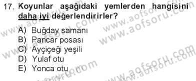 Temel Yem Bilgisi ve Hayvan Besleme Dersi 2012 - 2013 Yılı Tek Ders Sınavı 17. Soru