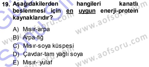 Temel Yem Bilgisi ve Hayvan Besleme Dersi 2013 - 2014 Yılı (Final) Dönem Sonu Sınavı 19. Soru