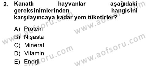 Temel Yem Bilgisi ve Hayvan Besleme Dersi 2013 - 2014 Yılı (Final) Dönem Sonu Sınavı 2. Soru