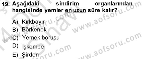 Temel Yem Bilgisi ve Hayvan Besleme Dersi 2013 - 2014 Yılı Tek Ders Sınavı 19. Soru